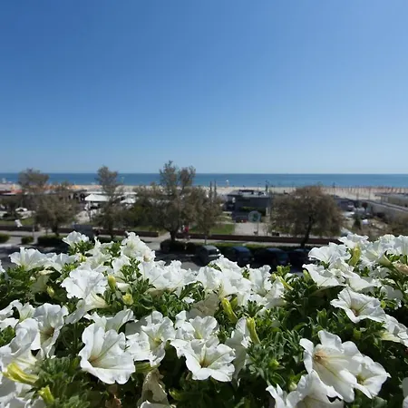 Otel Souvenir - Koolibry 3*