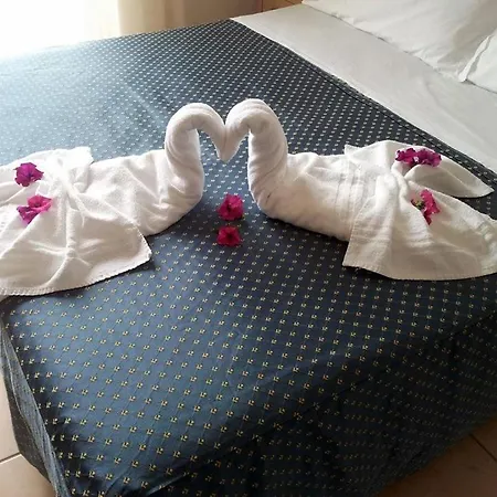 Souvenir - Koolibry Hotel 3*