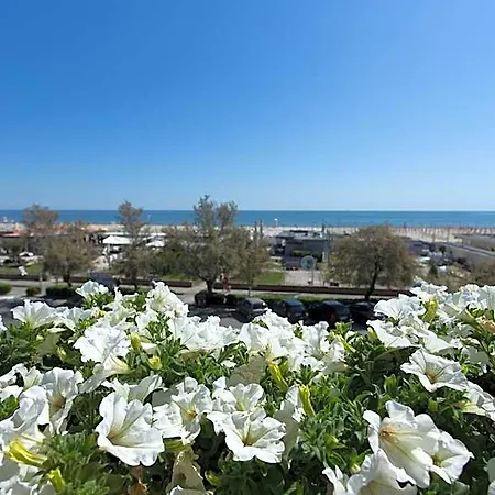 Souvenir - Koolibry Hotel Cervia